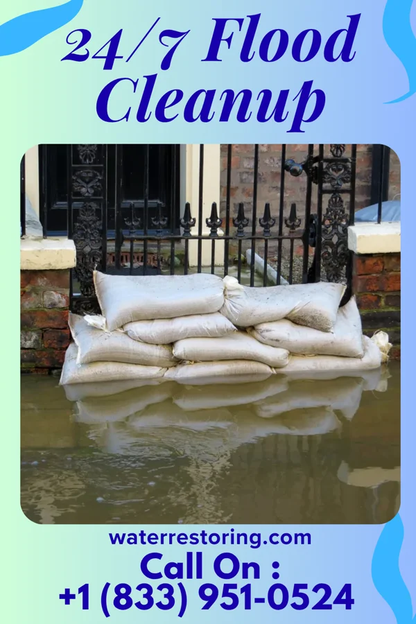 24/7 Flood Cleanup in Terrace Heights, WA