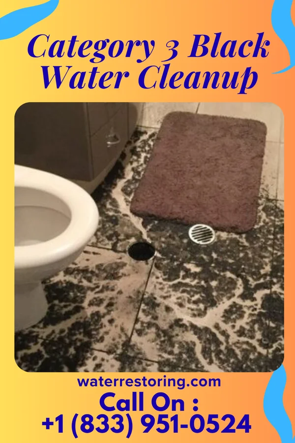 Category 3 Black Water Cleanup in Terrace Heights, WA