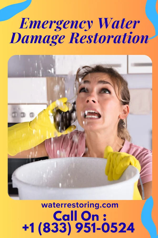 Emergency Water Damage Restoration in Terrace Heights, WA