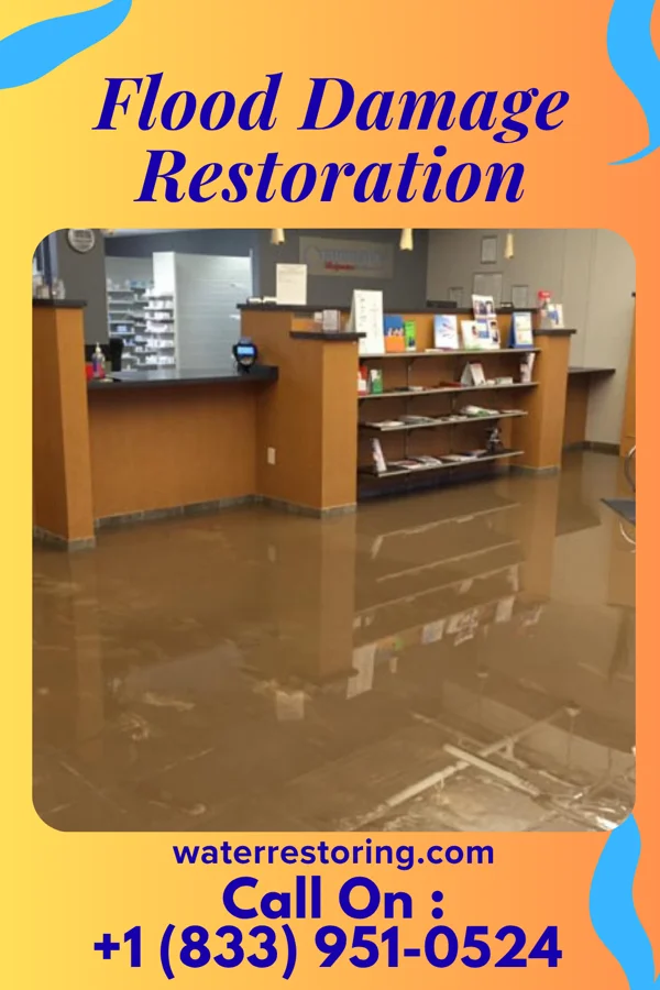 Flood Damage Restoration in Terrace Heights, WA