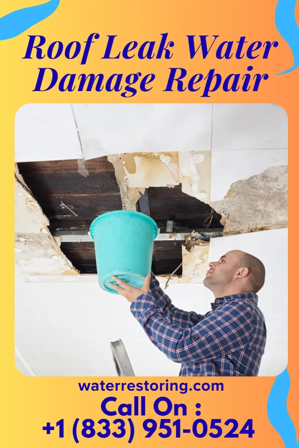 Roof Leak Water Damage Repair in Terrace Heights, WA