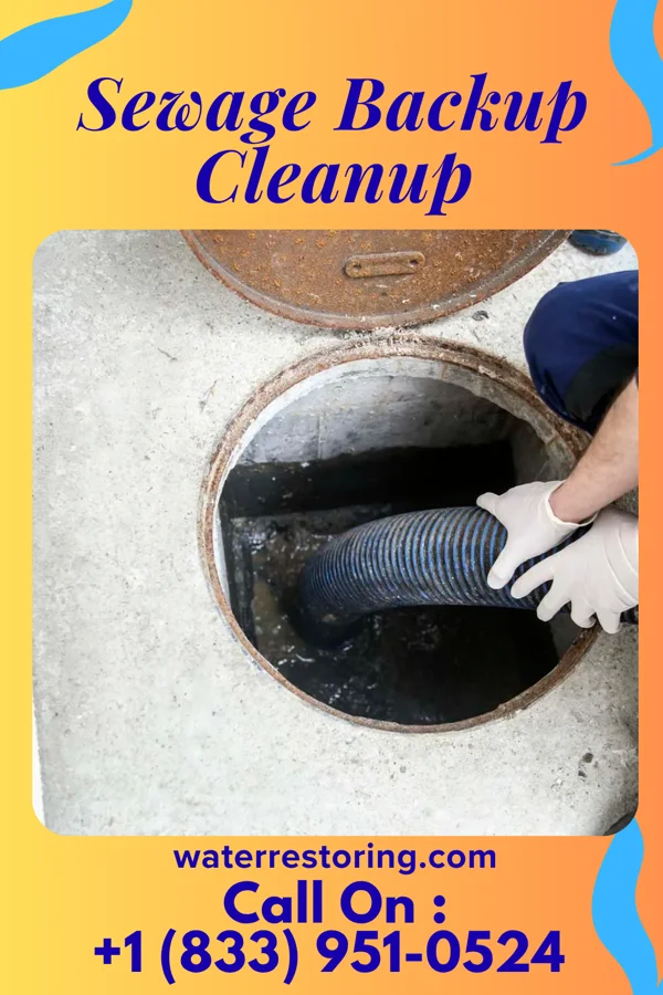 Sewage Backup Cleanup in Terrace Heights, WA