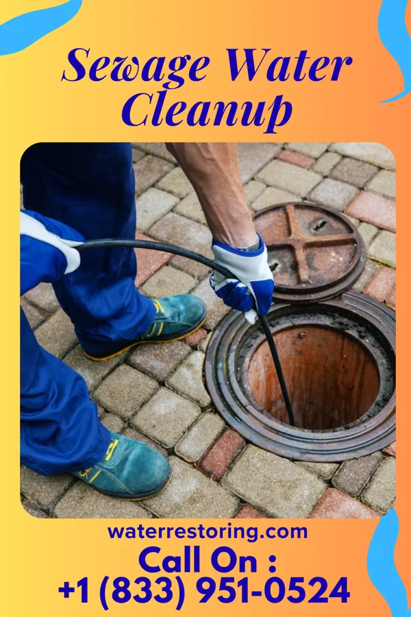 Sewage Water Cleanup in Terrace Heights, WA
